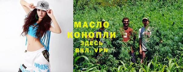 apvp Вяземский
