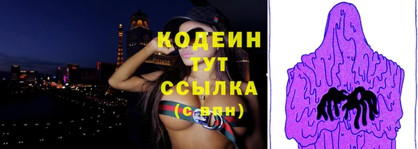 apvp Вяземский