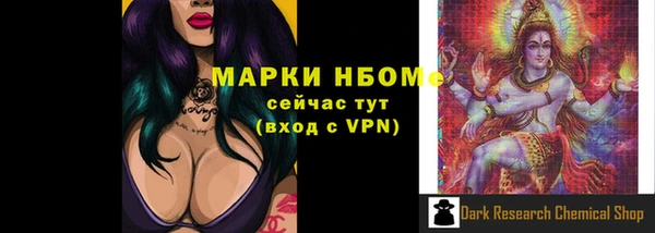 apvp Вяземский