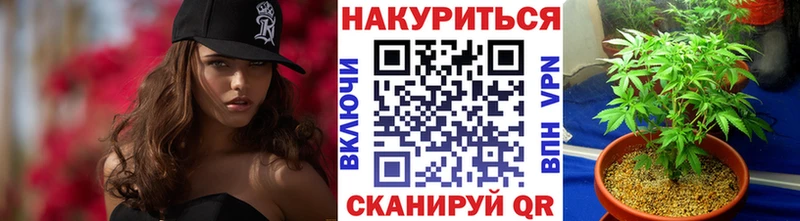 OMG онион  наркошоп  Белгород  Канабис сатива 